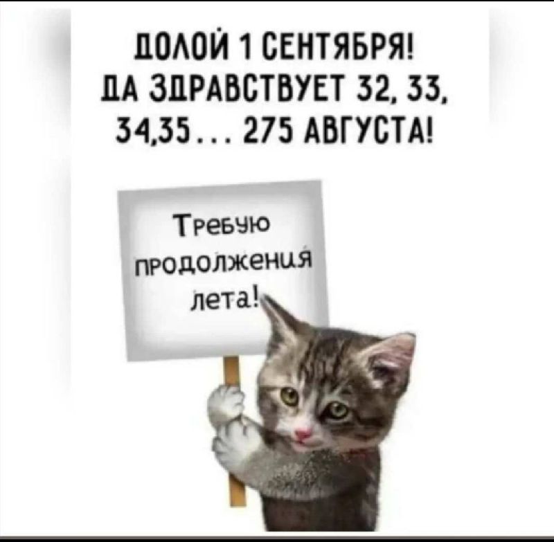 день блога 31 августа