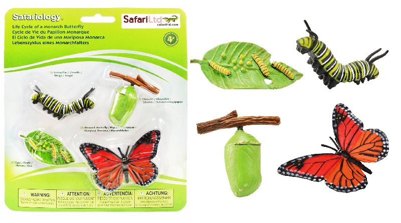 день превращения в бабочку 19 августа