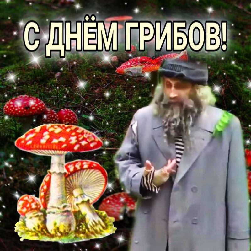 день грибного дождя 6 августа